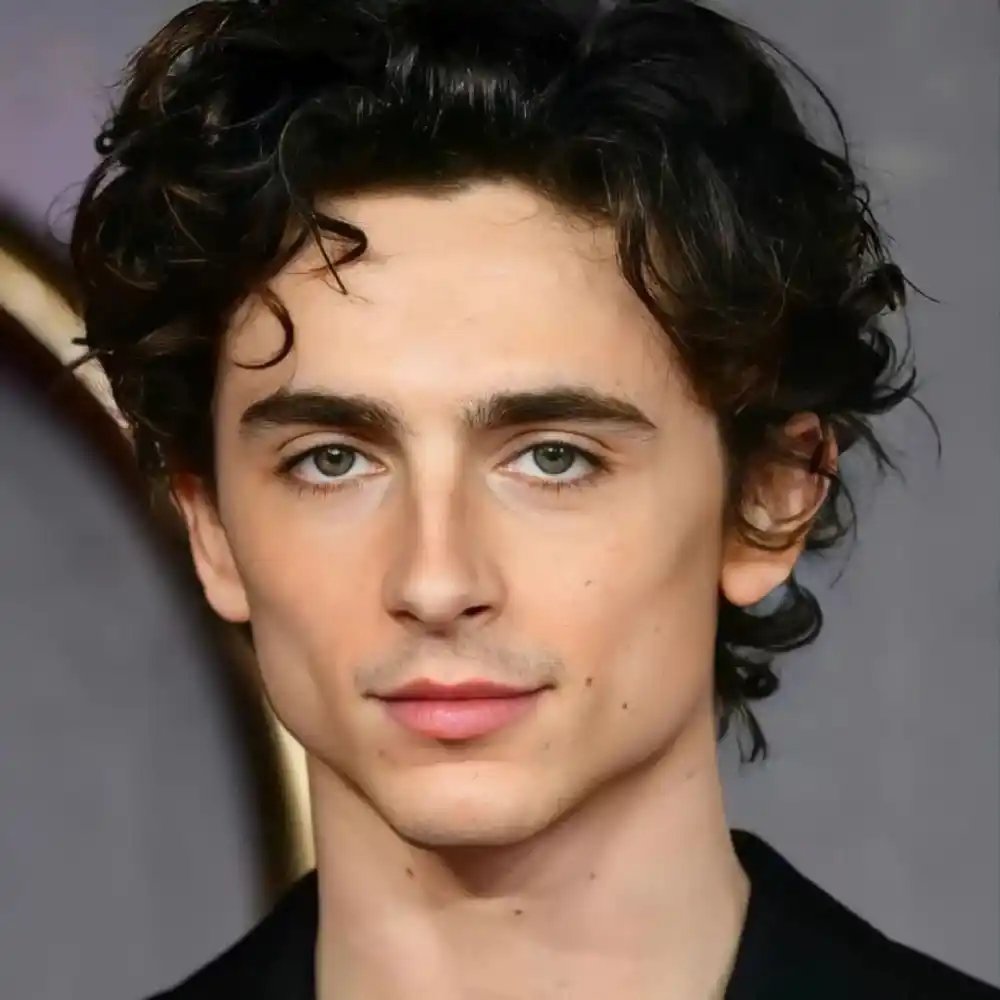 Wave/Curl Cut, tim chalamet haircut