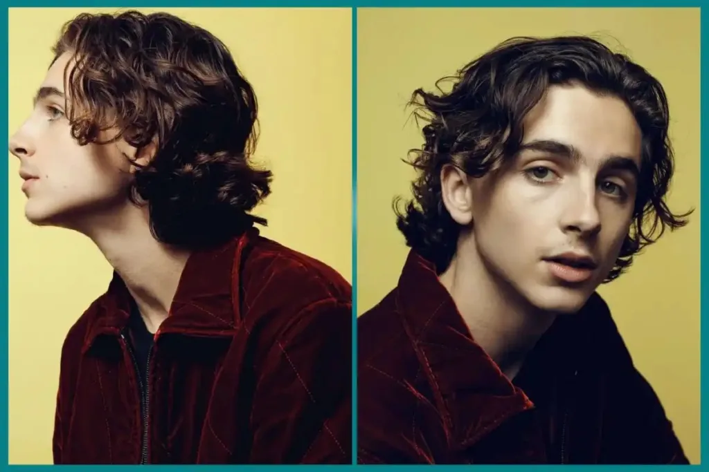 Middle Part, tim chalamet hairstyle